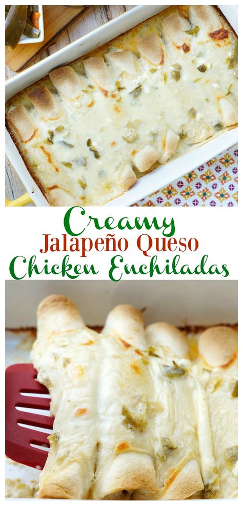 Creamy Jalapeno Queso Chicken Enchiladas Restaurant Enchiladas, Queso Chicken Enchiladas, Enchiladas Chicken Green, Jalapeno Queso, Queso Chicken, Enchiladas Chicken, Your Family, Creamy Jalapeno, Jalapeno Recipes