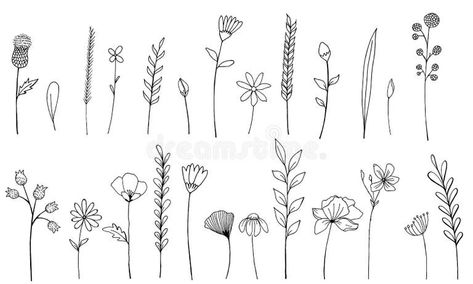 Poppy Flower Vector Drawing Set Isolated Wild Plant Leaves Stock Illustrations – 159 Poppy Flower Vector Drawing Set Isolated Wild Plant Leaves Stock Illustrations, Vectors & Clipart - Dreamstime Geranium Illustration, Wedding Plants, Flower Vector, Hand Drawn Vector Illustrations, Flower Sketches, Dandelion Flower, Pink Rose Flower, Watercolor Flower Art, Wheat Grass