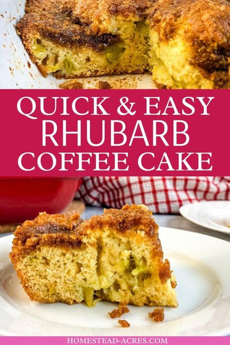 The Best Rhubarb Coffee Cake Recipe With Sour Cream Rhubarb Streusel Cake, Rhubarb Coffee Cake Recipes Sour Cream, Rhubarb Coffee Cake Recipes, Rhubarb Breakfast Cake, Coffee Cake With Sour Cream, Cake Recipe With Sour Cream, Recipes Rhubarb, Rhubarb Coffee Cake, Cake With Sour Cream