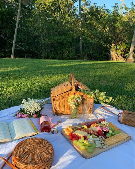 Park Picnic Aesthetic, Picnic Core, Work On Self, Elegant Picnic, Charcuterie Picnic, Picnic Date Food, Picnic Inspo, Aesthetic Picnic, Birthday Picnic