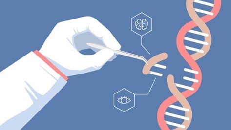 What is gene editing and CRISPR-CAS9? Biotechnology Art, Science Illustration, Genetic Engineering, Gene Therapy, Applied Science, Stephen Hawking, Editing Tools, Biotechnology, Environmental Science