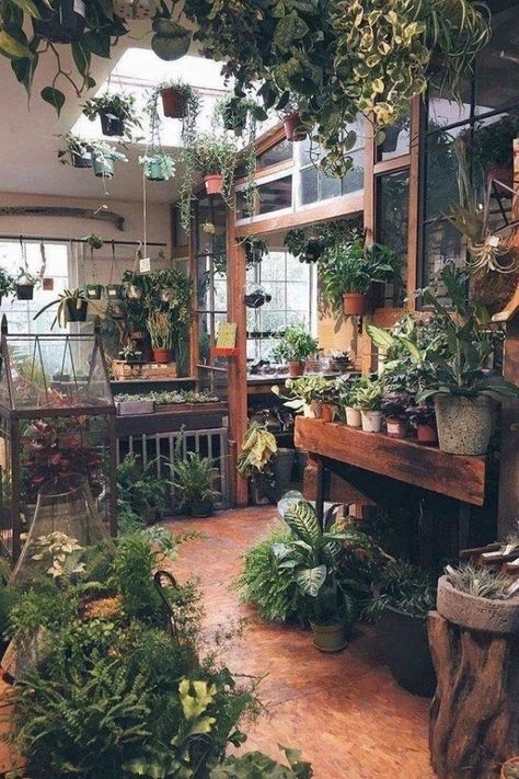 Cheap Plants, Deco Jungle, Wooden Greenhouses, Greenhouse Plans, Plant Shop, Room With Plants, Dream Room Inspiration, Plant Nursery, Dream Rooms