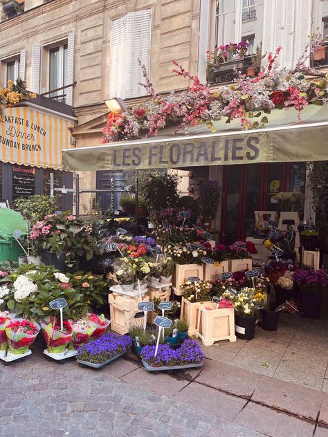 Flower shop in paris Paris Flower Market, Shop In Paris, Flowers Shop, Paris Shopping, Flower Market, Photo Reference, Flower Shop, Mood Board, My Pictures