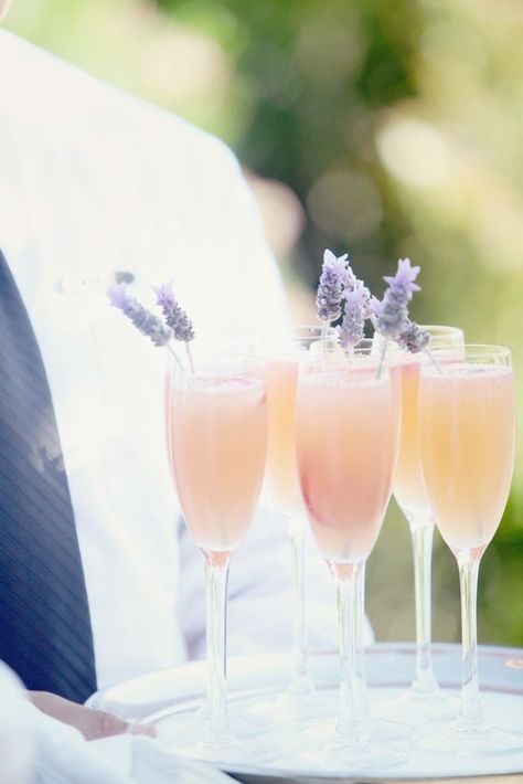 Lavender Bellinis look like a perfect summertime cocktail! Bellini Cocktail Recipes, Bellini Cocktail, Summertime Cocktail, Gin Sour, Citrus Cocktails, Vodka Lemonade, Winter Cocktails, Peach Schnapps, Tequila Sunrise