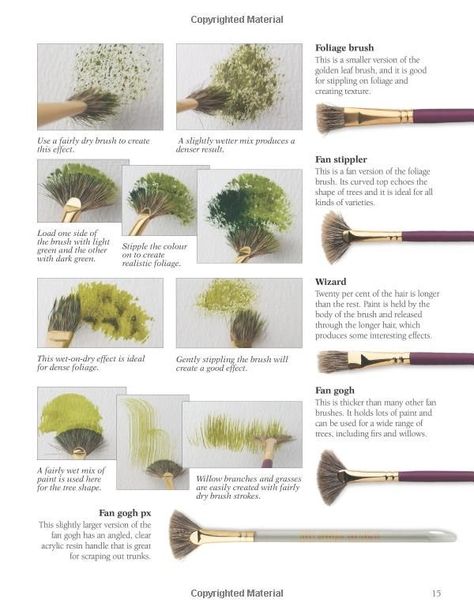 Painting Organization Ideas, Brushes And Their Uses, Terry Harrison, 손 로고, Watercolour Trees, Painting Brushes, Art Painting Tools, Seni 2d, Watercolor Tree