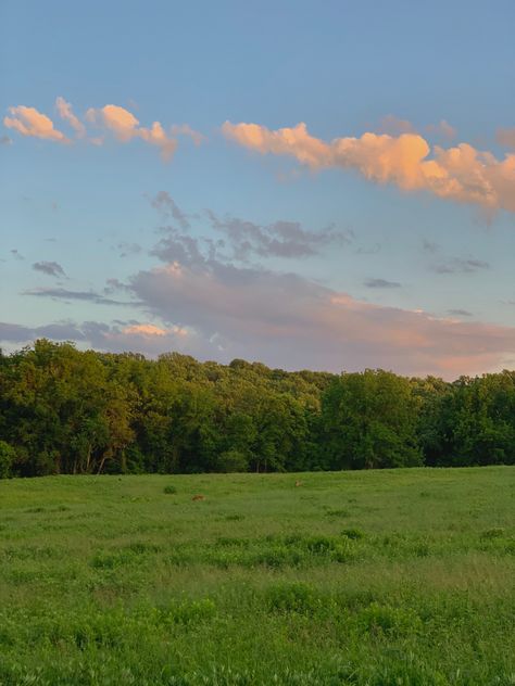 Grass Sunset Aesthetic, Sunny Nature Aesthetic, Sunset Park Aesthetic, Sunny Park Aesthetic, Nature Park Aesthetic, Sunny Field Aesthetic, Sunny Aesthetic Pictures, Summer Grass Aesthetic, Summer Park Aesthetic