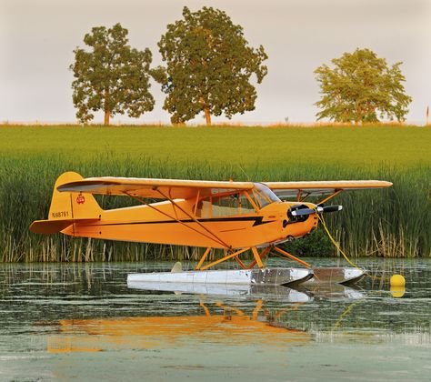 Floating Cub at dusk Piper Cub, Piper Aircraft, Light Sport Aircraft, Sea Planes, Amphibious Aircraft, Bush Plane, Sea Plane, Light Aircraft, Float Plane