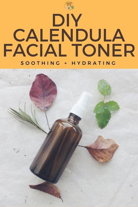 Do you need a soothing and effective hydrating facial toner with clean ingredients? Make this gentle calendula DIY facial toner. It's an easy recipe, great for beginners too, and completely vegan! Hydrate your skin easily with this affordable recipe! #calendula #diybeauty #diyskincare #beautycrafts #veganbeauty #homemadebeauty  #homemadeskincare #naturalskincare #naturalbeauty #veganskincare #nontoxicbeauty #nontoxicskincare Diy Herbal Face Oil, Toner Diy Face Skin Care, Calendula Recipes, Apothecary Supplies, Toner Recipes, 2023 Products, Homemade Skincare, Tallow Soap, Diy Serum