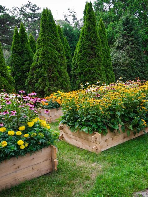 VENDOR IMAGE. LIMITED USE, CONTACT PRODUCTION. Vendor is OKAY with us using for PR and Social Kou Diabolik Lovers, Colorful Flower Beds, Cedar Raised Garden Beds, Garden Wallpaper, Magic Garden, Pollinator Garden, Garden Cottage, Raised Garden Beds, Raised Garden