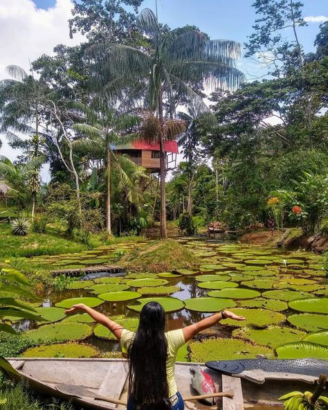 Reserva Natural Victoria Regia, Leticia, Amazonía Colombiana 🇨🇴️ . Instagram: https://www.instagram.com/_beautifulcolombia/ Créditos 📸: @kim.guaqueta.viajera . . . . . . . . . . #TurismoResponsable #Amazonas #leticia #colombia #amazoniacolombiana #amazonascolombia #paisajescolombianos #naturalezacolombiana #paisajesdecolombia #selvacolombiana #visitcolombia #colombian #latam #suramerica #latinoamerica #sur #latinamerica #southamerica #americadelsur #sudamerica #SouthAmerica #beautiful #natu Visual Planner, Photo Voyage, Amazon River, Colombia Travel, Amazon Rainforest, South America Travel, America Travel, Scenic Views, Garden Bridge