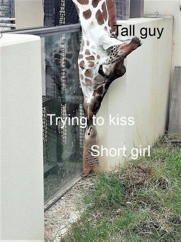 5 Reasons Why Tall Guys Like Short Girls – Navas Lab Apparel Tall Boyfriend Short Boyfriend, Short Gf Tall Bf Relationship Goals, Tall Guy Short Girl Couple Aesthetic, Tall Boyfriend Short Girlfriend Goals, Tall Boyfriend Short Girlfriend Aesthetic, Tall Bf Short Gf Aesthetic, Tall Boyfriend Aesthetic, Tall Bf Short Gf, Random Captions