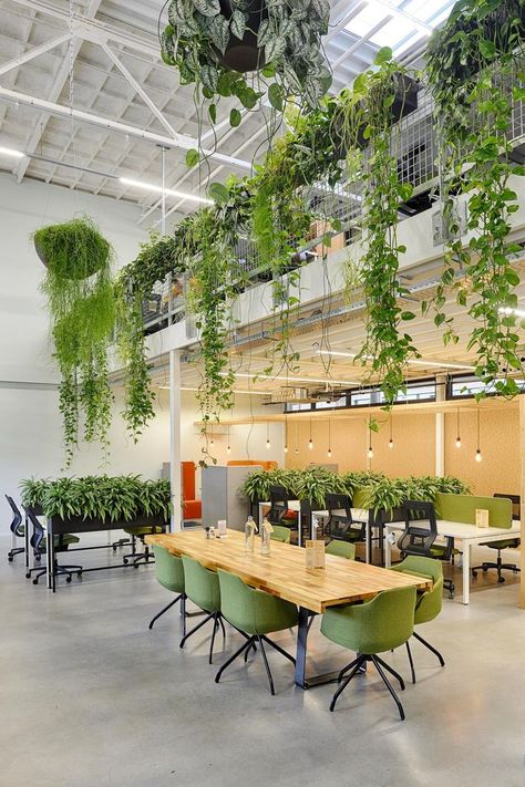 Biofilic Design, Interior Design Green, Biophilic Architecture, Interior Design Plants, Mediterranean Interior Design, Mediterranean Interior, Green Interior Design, Cool Office Space, Green Office