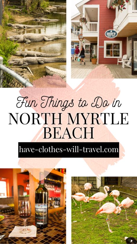 North Myrtle Beach Things To Do, Myrtle Beach Things To Do, Myrtle Beach Trip, North Myrtle Beach Sc, Beach 2023, 2023 Vacation, East Coast Beaches, Baby Tigers, Vacation 2023