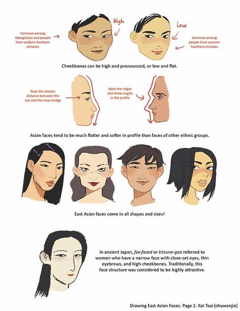 Face shape and ethnicity. Cheek bones. Profile Asian Faces, Art Advice, Asian Eyes, Anatomy Reference, Facial Expressions, Digital Art Tutorial, Drawing Reference Poses, Art Tips, Drawing Tips