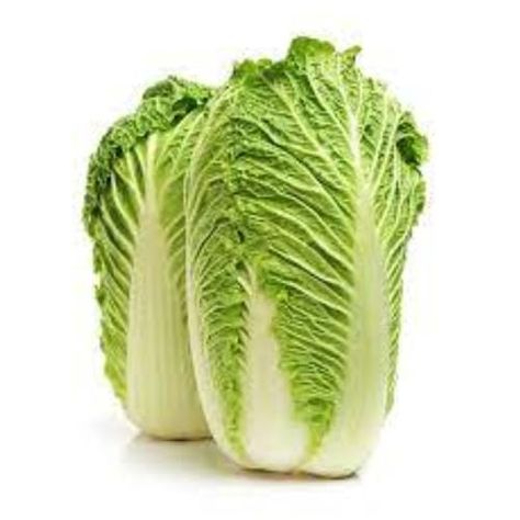 1000 napa Chinese Cabbage Seeds for Planting Brassica rapa pekinensis Seeds Chinese White Cabbage Seeds Wong a pak baechu wongbok hakusai Seeds Non-GMO bap CAI Thao lai Seeds Cabbage Plant, Growing Spinach, White Cabbage, Growing Ginger, Cabbage Seeds, Leaf Vegetable, Growing Lettuce, Middle Eastern Dishes, Green Veggies