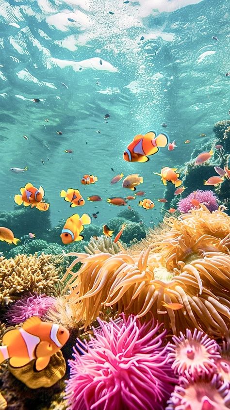 Under Sea Photography, Underwater Ocean Wallpaper, Photo Of The Sea, Underwater Photography Nature, Coral Reef Images, Coral Reef Mural, Coral Reef Photography Landscape, Coral Reef Photography Ocean Life, Underwater Life Photography