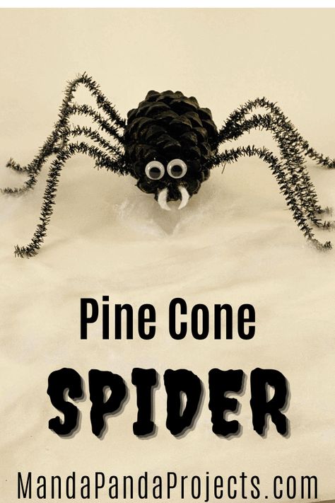 Halloween Spider Craft, Realistic Paper Flowers, Spider Craft, Pinecone Crafts, Halloween Costumes To Make, Halloween Crafts Preschool, Halloween Craft Projects, Spider Crafts, Nature Craft