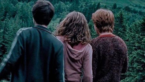 Harry Potter Pc, Harry Hermione Ron, Harry Potter Ron And Hermione, Harry Potter Wall, Harry Potter Background, Harry Potter Images, Images Harry Potter, The Prisoner Of Azkaban, Ron And Hermione