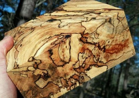 Spalted Wood, Wood Lumber, Stabilized Wood, Got Wood, Carving Wood, Circular Motion, Wood Bowl, Woodworking Ideas, Wood Bowls