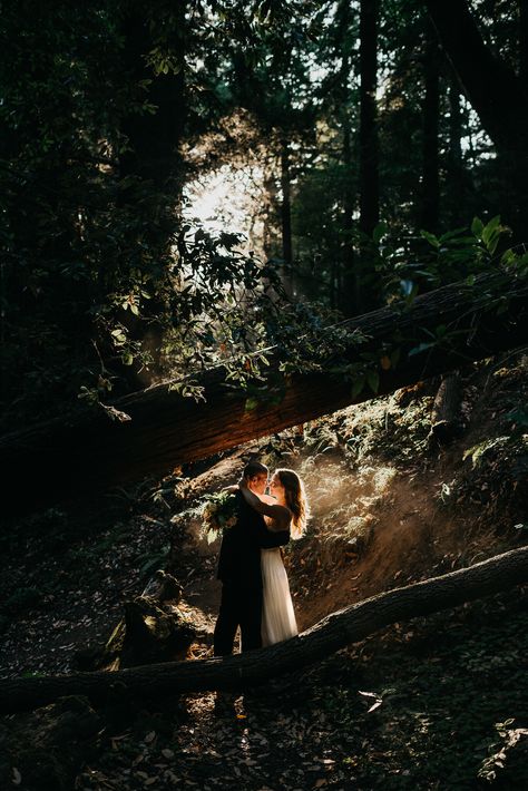 Romantic Forest Aesthetic, Dark Forest Elopement, Enchanted Forest Elopement, Forest Pre Wedding Photoshoot, Forest Ceremony Wedding, Wedding Forest Photography, Enchanted Forest Photoshoot Couple, Dark Forest Wedding Aesthetic, Woodsy Wedding Photography