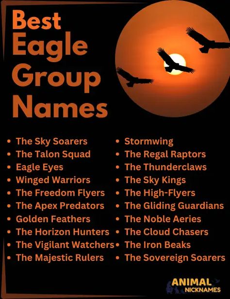 Group Eagle Names Animal Nicknames, Sky King, Group Names, Apex Predator, Eagle Eye, Lone Wolf, Team Names, Girl Names, Writing Tips