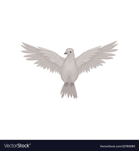 Bird Flying Front View, Bird Drawings Flying, Bird Front View, Bird Open Wings, White Bird Drawing, Bird With Open Wings, Spirit Animal Tattoo, Book Vector Illustration, Inspo Drawing