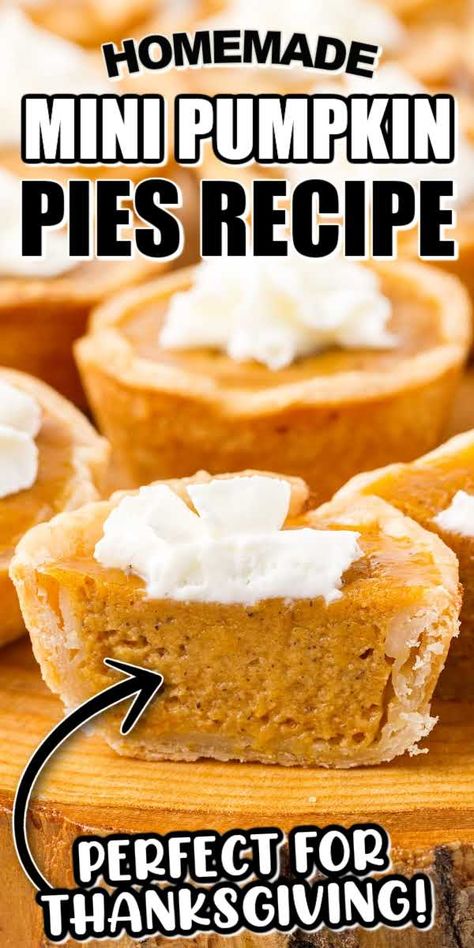 Small Batch Mini Pumpkin Pies, Pillsbury Mini Pumpkin Pies, Mini Marshmallow Pumpkin Pies, Mini Pumpkin Pies Gluten Free, Mini Pumpkin Pie Recipe Easy, Homemade Mini Pumpkin Pies, Mini Pumpkin Cream Cheese Pies, Pumpkin Pie Individual, Pumpkin Pie Tarts Mini