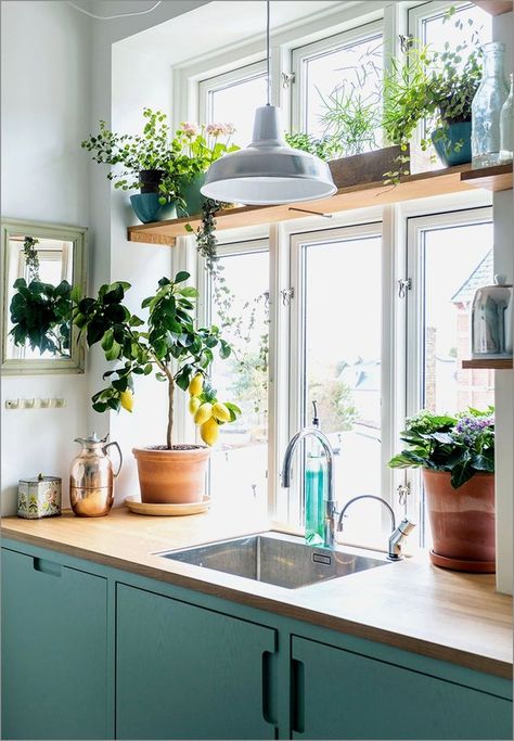 Plants bring truly unrivaled detail into the home. Regardless of your preference — a hanging unit, a floating ledge, or a simple perch — allow the picture-perfect spots ahead to serve as the plant-spiration you need. #hunkerhome #plants #window #windowplants #hangingplants Kitchen Window Shelf, Kitchen Window Shelves, Window Plant Shelf, Kitchen Lighting Over Table, Kitchen Sink Window, Model Dapur, Interior Dapur, Kitchen Plants, Window Plants