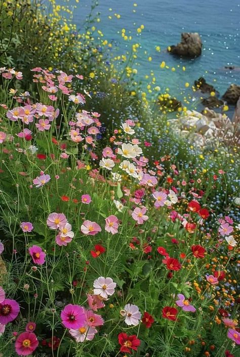 Wildflower Field Aesthetic, Italian Wildflowers, Flower Collage, Nothing But Flowers, Wildflower Garden, Maximalism, Beautiful Flowers Pictures, Flowers Nature, Flower Field