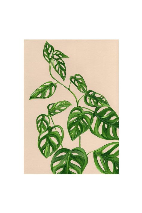 Monstera Obliqua, Plant Sketches, Tattoo Plant, Plant Tattoo, Monstera Leaves, Plant Painting, Botanical Design, Plant Drawing, Arte Inspo