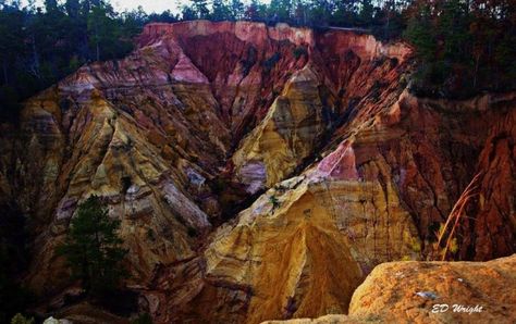 One of the state’s best kept secrets, Red Bluff (a.k.a. the Little Grand Canyon) is an amazing sight. Mississippi Blues, Mississippi Travel, Sky Lake, Learn Computer, Natchez Trace, Red Bluff, Bald Cypress, Petrified Forest, Computer Coding