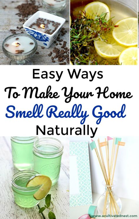 Diy Room Fragrance, Fragrance Hacks, Natural Room Deodorizer, Room Deodorizer, Diy Fragrance, Homemade Air Freshener, House Smell Good, Natural Air Freshener, Room Freshener