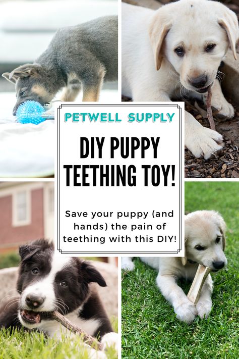 Homemade Puppy Toys, Diy Puppy Toys Teething, Diy Puppy Stuff, Puppy Enrichment Ideas Diy, Diy Puppy Toys, Puppy Teething Toys, Puppy Diy, Dogs Diy Projects, Puppy Toys