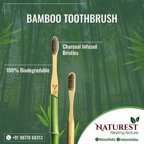 Use Bamboo Toothbrush ✅ 100% Biodegradable ✅ Charcoal Infused Bristles . . #bamboo #charcoalinfused #savenature #saynotoplastic #100%biodegrad #ecofriendly #ecooralcare #toothbrush #bambooproducts #SayNoMorePlastic #mothernature #savetheplanet Say No To Plastic, Save Nature, Bamboo Toothbrush, Tooth Brush, Body Skin Care Routine, Quick Jokes, Oral Care, Body Skin, Care Routine