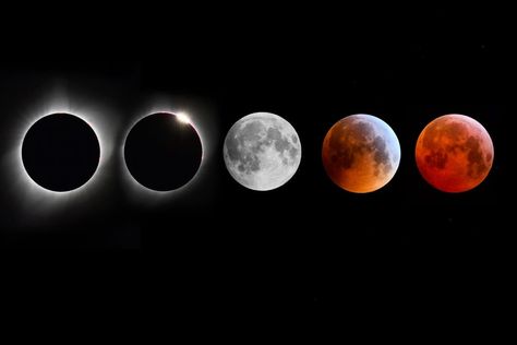 Eclipse Lunar, Space News, Lunar Eclipse, Super Moon, Health Business, Sustainable Travel, Space Science, Tv On The Radio, Full Moon