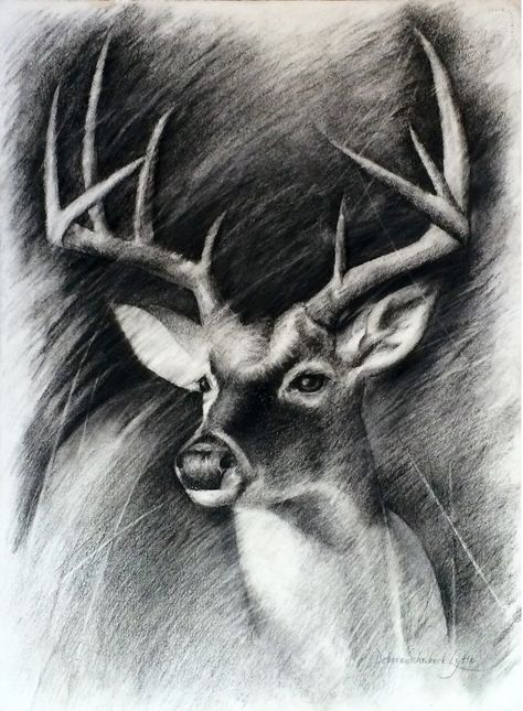 Debora Schubert Lytle "Deer" Charcoal on Paper, 30"x 22" Link to Debora's portfolio http://www.deboralytle.com/ Natural World Art, Charcoal Artwork, Hunting Decal, Hunting Tattoos, Best Drawing Ideas, Antlers Decor, Deer Drawing, Shadow Drawing, Deer Wall Art