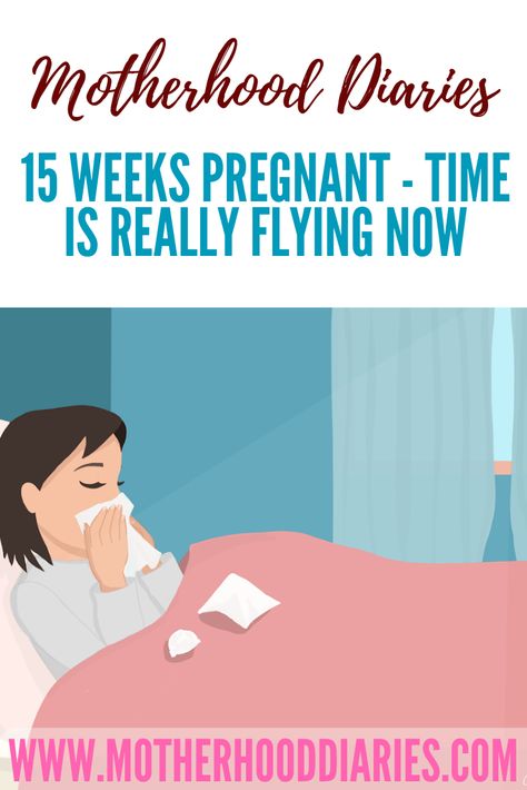 15 weeks pregnant - Time is really flying now https://www.motherhooddiaries.com/15-weeks-pregnant-time-flying-now/ 15 Weeks Pregnant Facts, 9 Weeks Pregnant, 15 Weeks Pregnant, Pregnancy Eating, Tired And Sleepy, Feeling Sleepy, Clean Diet, Stuffy Nose, Weeks Pregnant