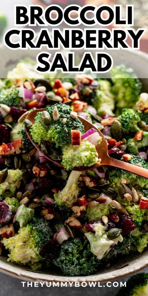 Broccoli Cranberry Salad is a fresh and vibrant side dish with its combination of earthy, tart, and sweet flavors with pops of savory goodness from seeds and nuts! Tossed in a homemade lemon yogurt dressing for a creamy and tangy finish and chilled to make it even more flavorful and refreshing. The perfect make-ahead salad that is ready for chilling in less than 5 minutes! Broccoli Cranberry Salad, Creamy Chicken Mushroom Pasta, Broccoli Salad With Cranberries, Thanksgiving Salad, Make Ahead Salads, Christmas Salads, Broccoli Salad Recipe, Cranberry Salad, Lemon Yogurt