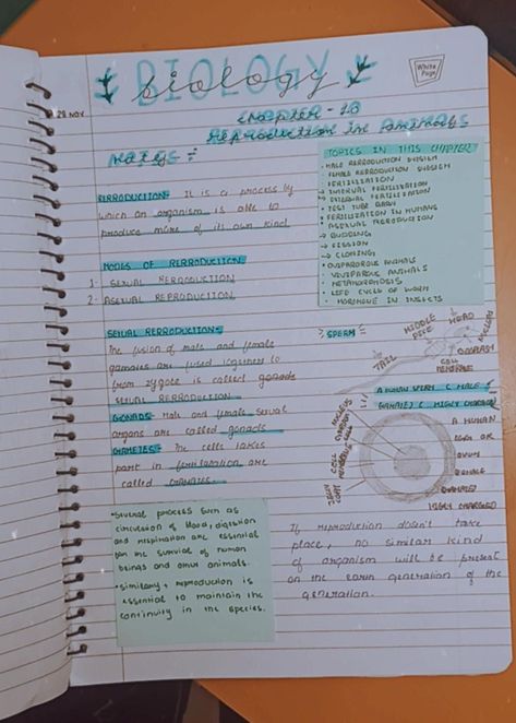 Reproduction in animals aesthetic notes ( biology notes) Reproduction Notes Aesthetic, Pretty Notes Aesthetic Biology, Life Processes Biology Notes Aesthetic, Reproduction In Animals Notes, Biology Notes Reproduction, Biology Reproduction Notes, Botany Notes Aesthetic, Reproduction In Plants Notes, Grade 8 Notes