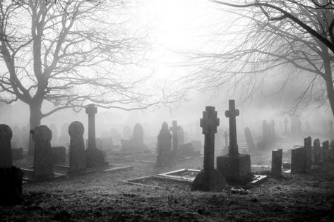 7 Spooky Trips to Take This Halloween Tombstone Pictures, Grave Yard, Whitby Abbey, Places In America, Most Haunted Places, Old Cemeteries, Most Haunted, Ghost Hunting, Haunted Places