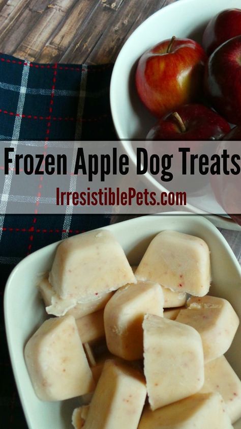 Apple Dog Treats, Frozen Apple, Puppy Life, Animal Treats, Puppy Ideas, Freezing Apples, Frozen Dog Treats, Dog Biscuit Recipes, Easy Dog Treats