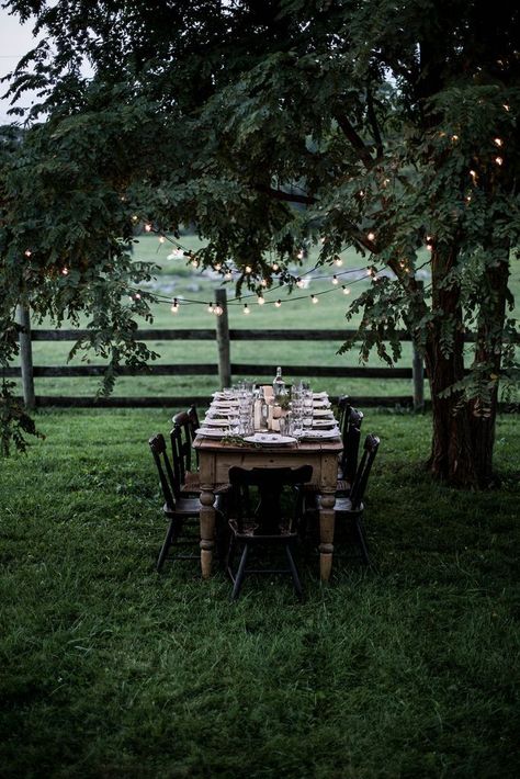 backyard dining Local Milk, Shenandoah Valley, Al Fresco Dining, The Grass, Fotografi Potret, Outdoor Entertaining, Farm Life, Country Life, Table Set