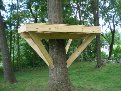 Tree platform, steps at http://villagecustomfurniture.wordpress.com/2012/06/25/tree-fort-platform/ Tree Platform, Garden Tree House, House Ladder, Tree House Interior, Simple Tree House, Backyard Fort, Trees House, Building A Treehouse, Backyard Trees