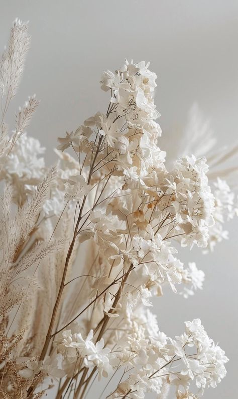 Close Up of a Plant With White Flowers Warm White Aesthetic, Elf Moodboard, White Flowers Aesthetic, Scrapbooking Background, Boho Images, White Flowering Plants, Soft Flowers, White Things, White Flower Arrangements