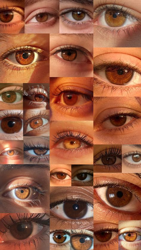 #brown #browneyes #aesthetic Pretty Eyes Color, Green Brown Eyes, Best Friend Miss You, Rare Eye Colors, Hair Dye Videos, Brown Eyes Aesthetic, Eye Color Chart, Rare Eyes, Blue Roses Wallpaper