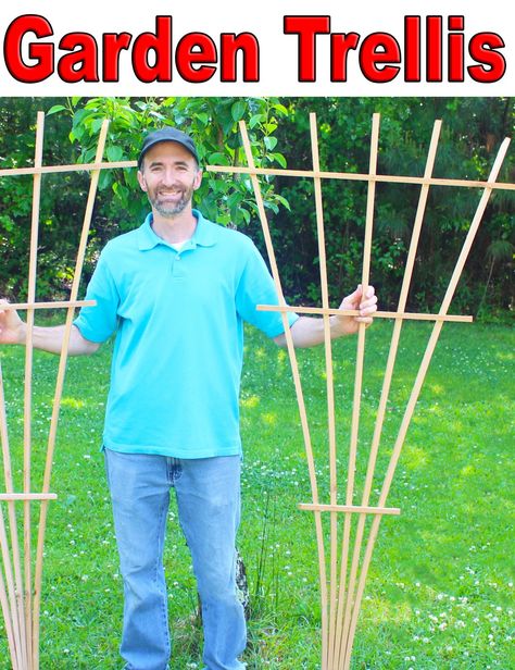 Garden Trellis DIY Make Your Own Trellis, Making A Trellis Diy, Simple Trellis Diy, Fan Trellis Ideas, Homemade Garden Trellis Ideas, Fan Trellis, How To Build A Trellis, How To Make A Trellis Diy, How To Make A Trellis