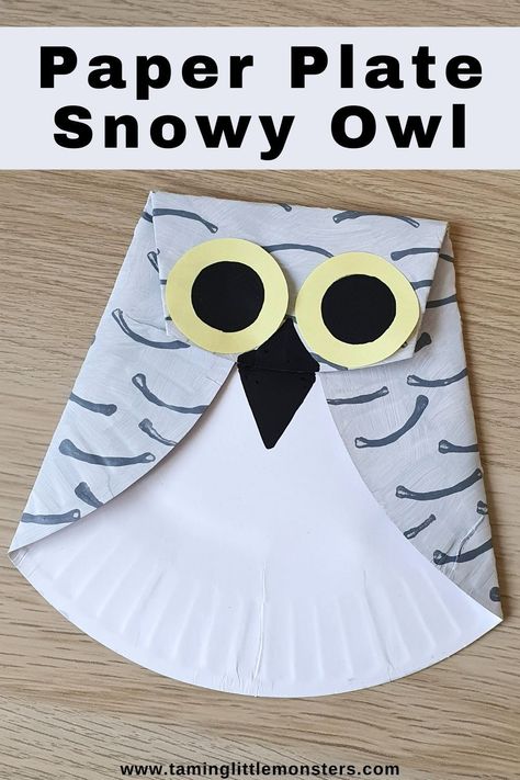 Easy Paper Plate Snowy Owl Craft for Kids. A fun art and craft activity for Winter. Perfect for preschoolers and kindergarteners. #winter #artsandcrafts #preschool #kindergarten Paper Plate Owl Craft, Snow Owl Craft, Attic Animals, Paper Plate Crafts For Toddlers, Easy Paper Plate Crafts, Snowy Owl Craft, Preschool January, January Preschool, Cool Crafts For Kids