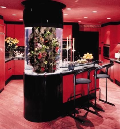 Red kitchen cabinets, contemporary kitchen island with a built-in aquarium tower Glass Fish Tanks, Amazing Aquariums, Cool Fish Tanks, Home Aquarium, Aquarium Design, Kitchen Island Design, Glass Fish, Aquarium Fish Tank, Red Kitchen