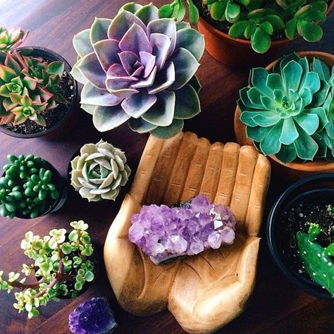 Crystals are used in feng shui in a variety of ways, all with one single goal - to improve the feng shui energy of a home or office. Explore these 5 ways of using crystals and learn to create good feng shui energy in your home. Feng Shui Money, Feng Shui Crystals, Zen Room, Feng Shui Tips, Meditation Space, Yoga Room, Cactus Y Suculentas, Meditation Room, Sacred Space