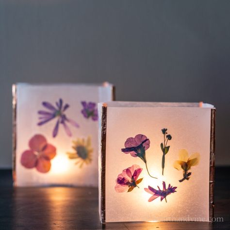 Diy Flower Lanterns, Pressed Flower Gift Ideas, Diy Paper Lanterns Hanging, Botanical Crafts, Flowers Diy Easy, Diy Luminaries, Pressed Flower Lanterns, Dried Flower Diy, Creative Homemade Gifts